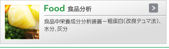 Food 食品分析