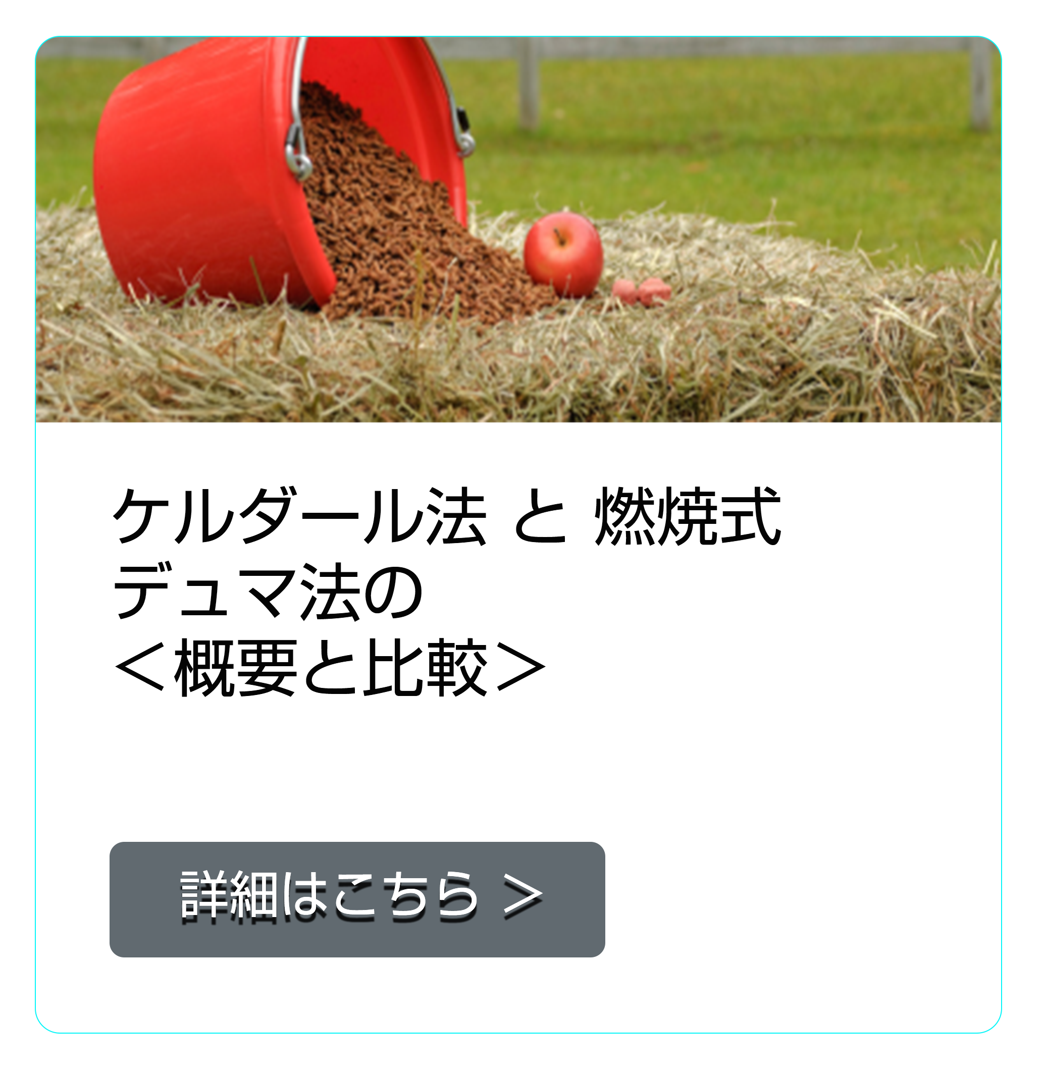 ケルダール法と燃焼式デュマ法 ＜概要と比較＞