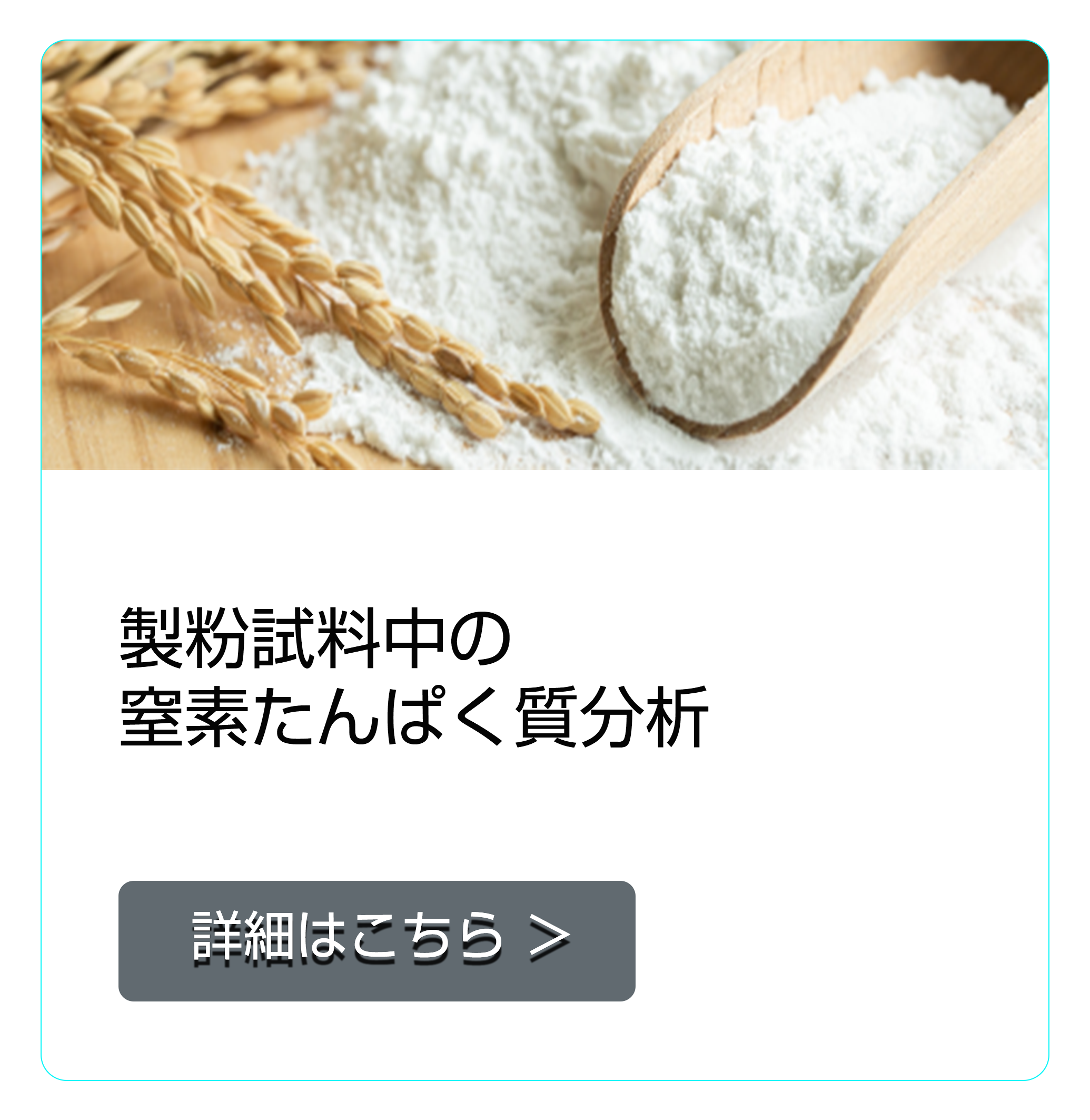 製粉試料中の窒素/たんぱく質分析