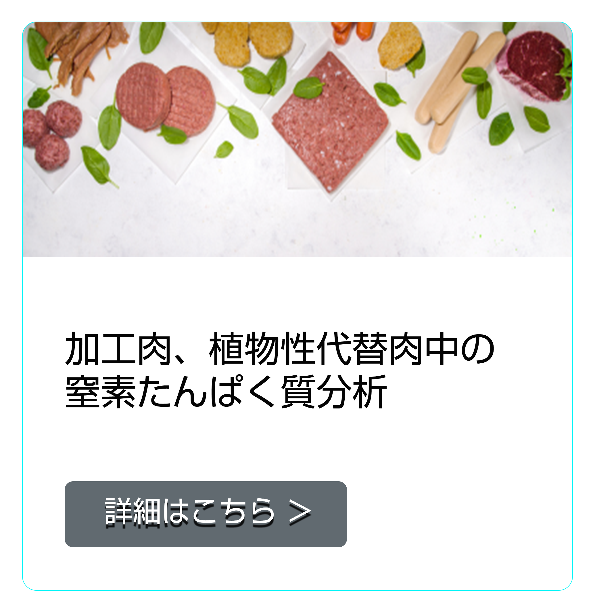 加工肉、植物性代替肉中の窒素/たんぱく質分析
